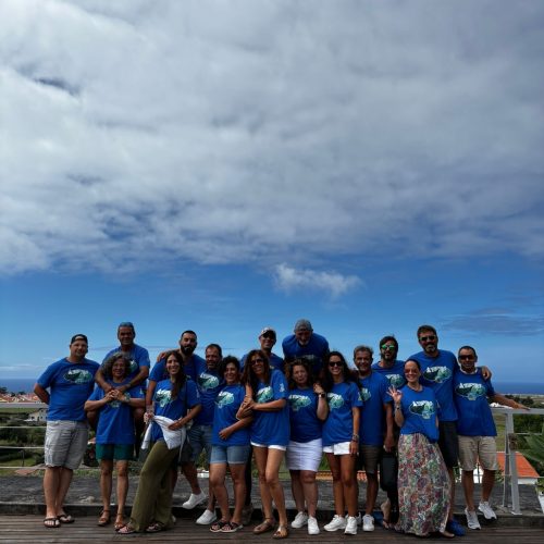 grupo-mola-mola-travel