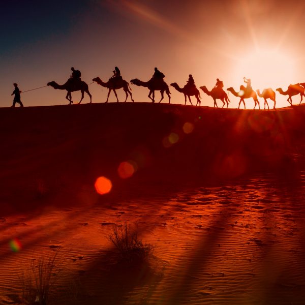 Camel caravan going through the desert