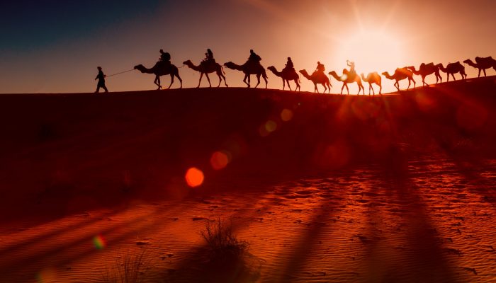 Camel caravan going through the desert